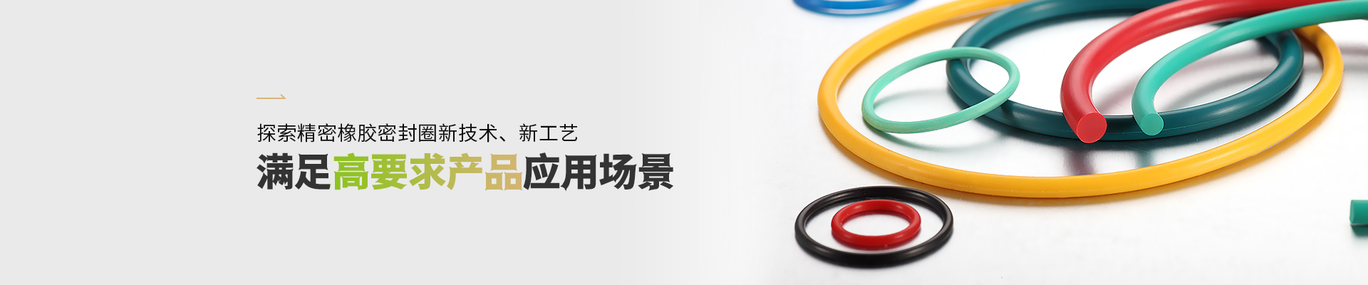 公海贵宾会5500iii橡胶密封圈满足高要求公海贵宾会5500iii(中国)有限公司应用场景